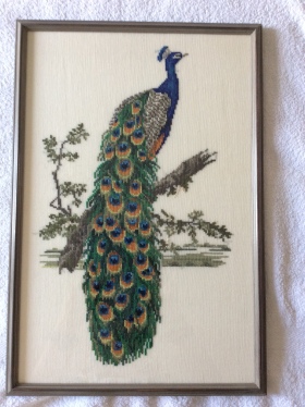 peacock framed